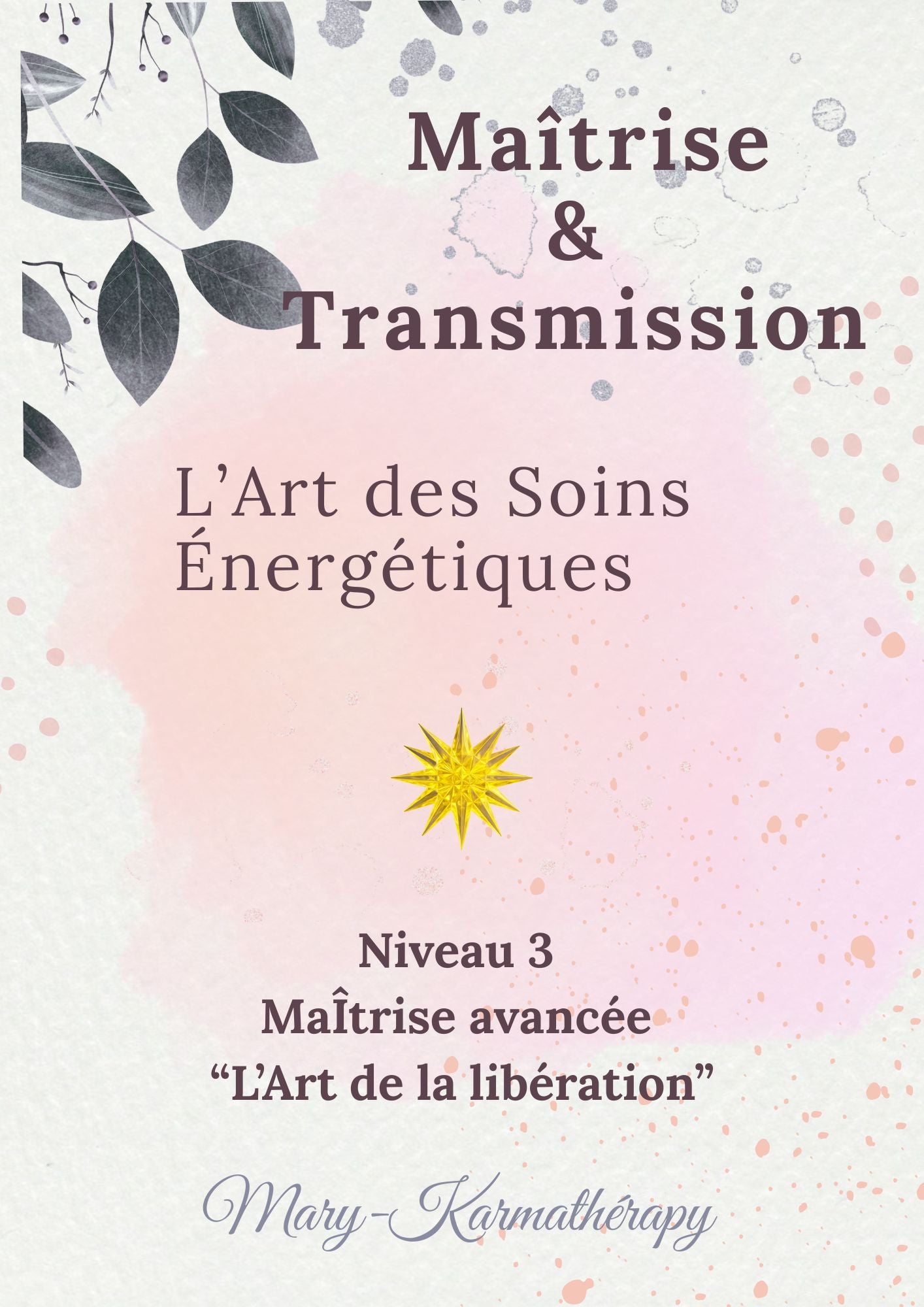 Maitrise & Transmission - L'Art des soins énergétiques - Niveau 3