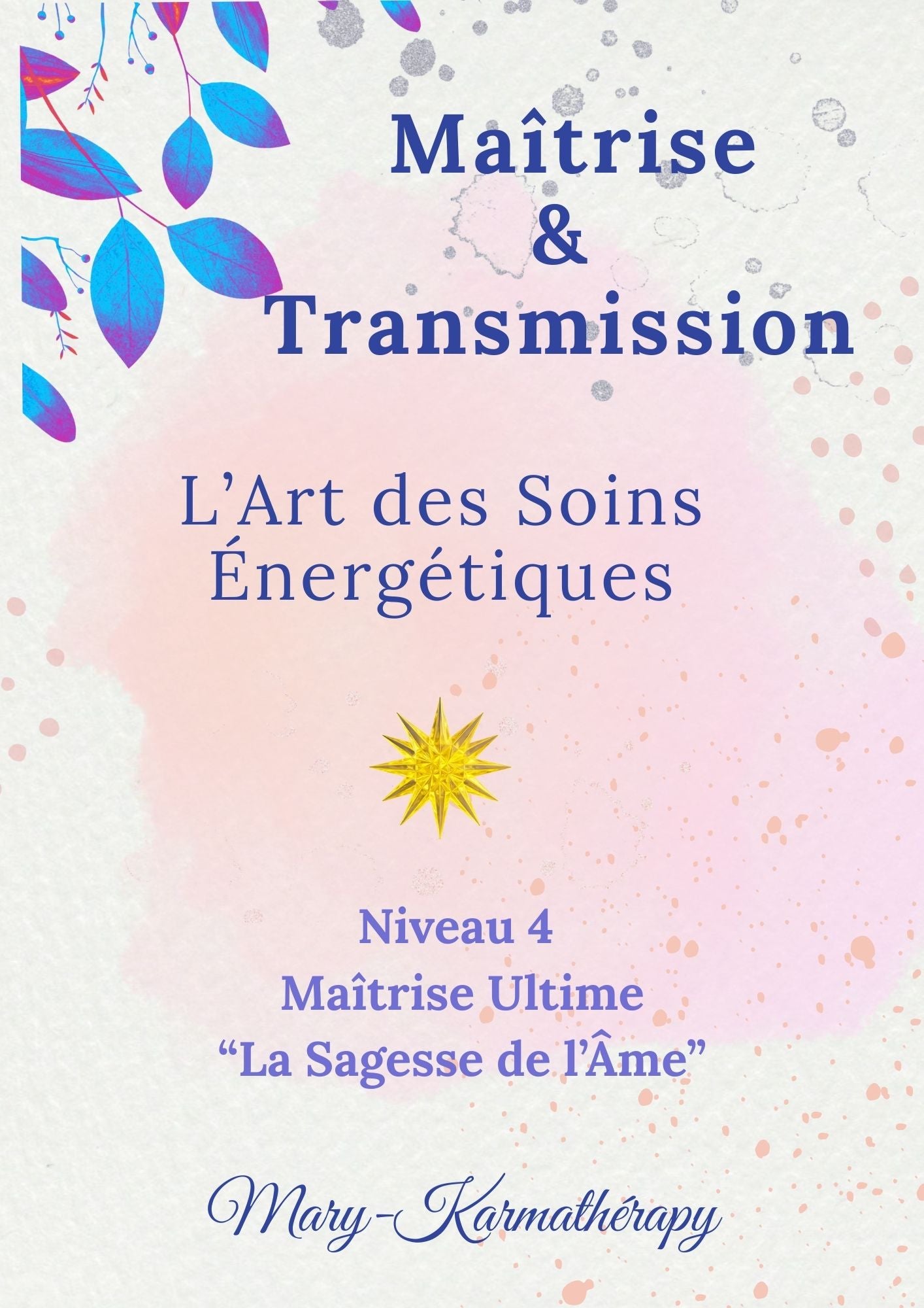 Maitrise & Transmission - L'Art des soins énergétiques - Niveau 4