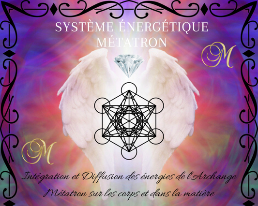 Système Énergétique MÉTATRON