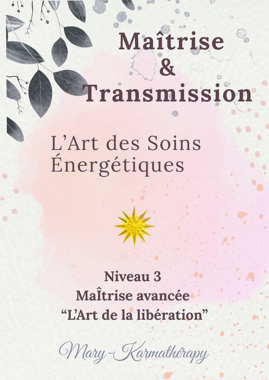Maitrise & Transmission - L'Art des soins énergétiques - Niveau 3