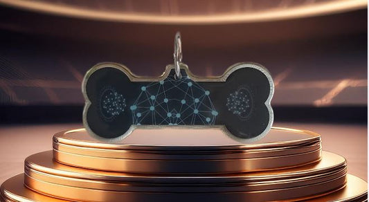 Pendentif à énergie Quantique pour animaux